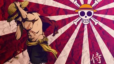One Piece Men's TShirt