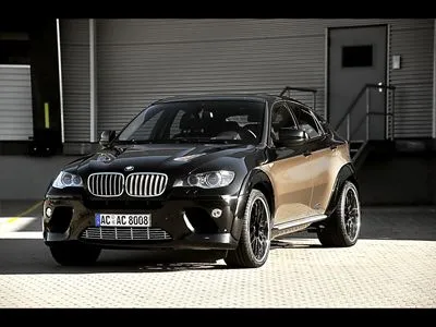 2009 AC Schnitzer BMW X6 Falcon Prints and Posters