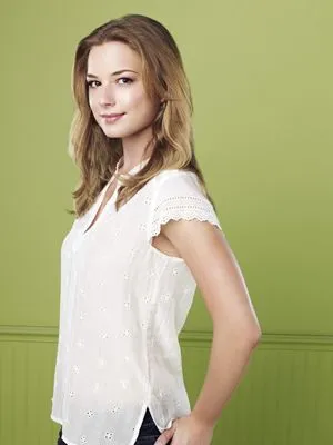 Emily VanCamp Prints and Posters