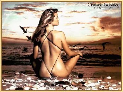 Christie Brinkley Prints and Posters