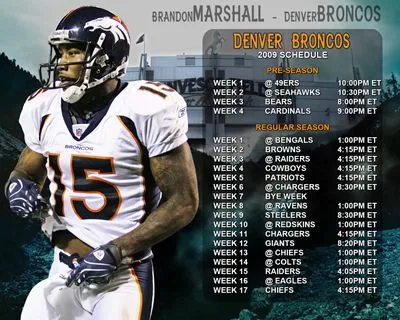 Brandon Marshall 16oz Frosted Beer Stein