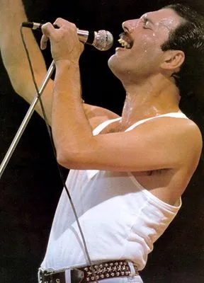 Freddie Mercury Prints and Posters