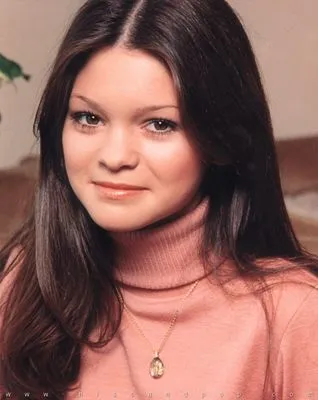 Valerie Bertinelli Prints and Posters
