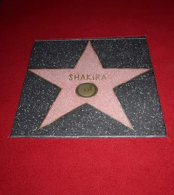 Shakira Stainless Steel Travel Mug