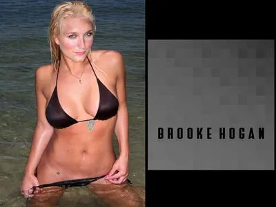 Brooke Hogan Hip Flask