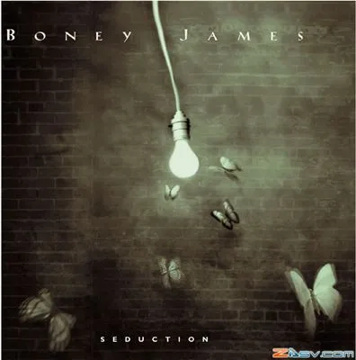 Boney James 11oz White Mug