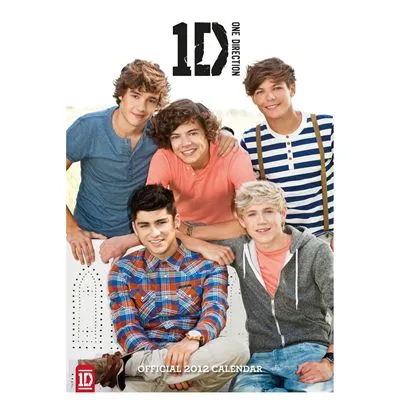 One Direction 16oz Frosted Beer Stein