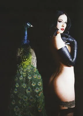Dita Von Teese Prints and Posters