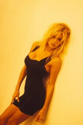 Pamela Anderson Poster