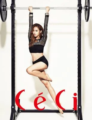 Fei Prints and Posters