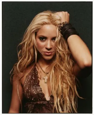 Shakira Metal Wall Art