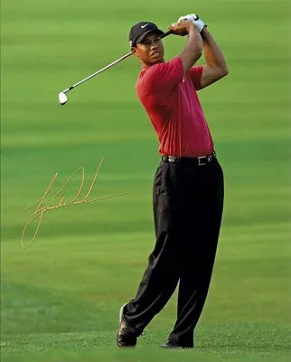 Tiger Woods Prints and Posters