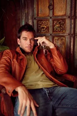 Michael Weatherly Prints and Posters