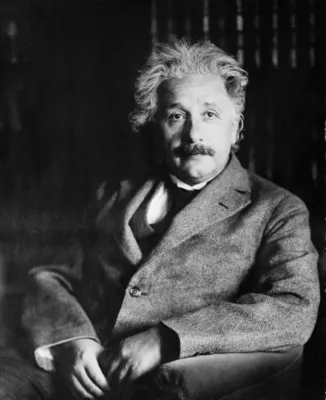 Albert Einstein 14x17