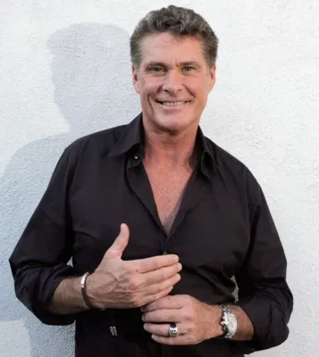David Hasselhoff Prints and Posters