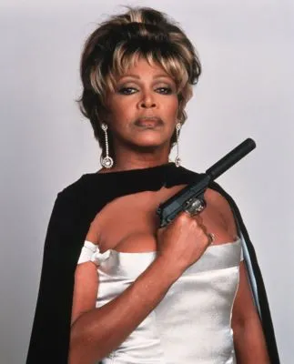 Tina Turner Poster