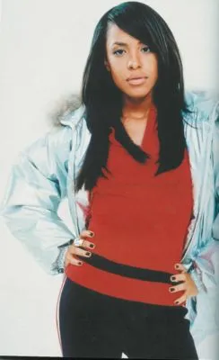 Aaliyah 11oz Metallic Silver Mug