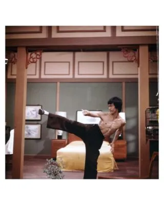 Bruce Lee Prints and Posters