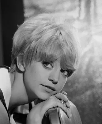 Goldie Hawn 6x6