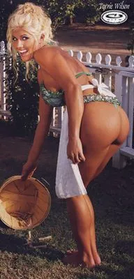 Torrie Wilson Prints and Posters