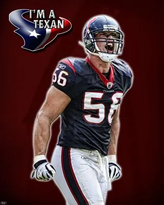 Houston Texans Prints and Posters