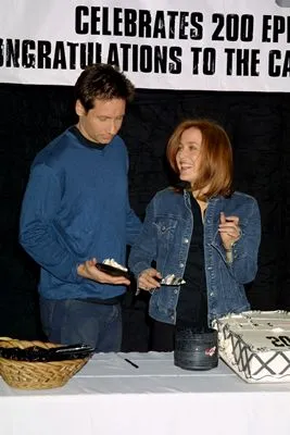David Duchovny Prints and Posters