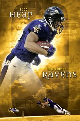 Baltimore Ravens 6x6