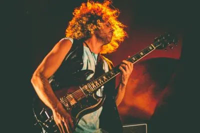 Wolfmother Prints and Posters