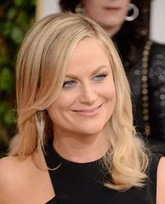 Amy Poehler (events) Posters and Prints