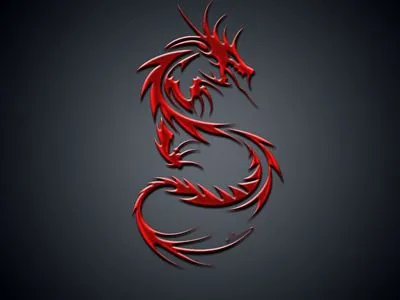 9 Dragons Men's TShirt