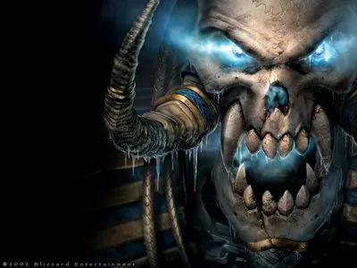 Warcraft 3 Frozen Throne Poster