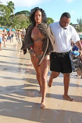 Rihanna (bikini) 11oz Metallic Silver Mug