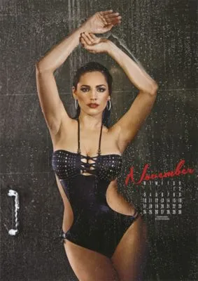 Kelly Brook Poster