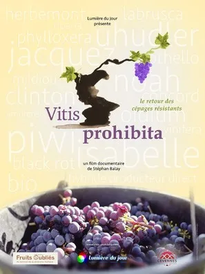 Vitis Prohibita (2019) Prints and Posters