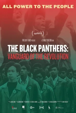 The Black Panthers: Vanguard of the Revolution (2015) Prints and Posters