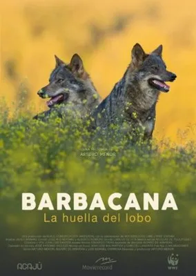 Barbacana, on the trail of the wolf (2018) Prints and Posters