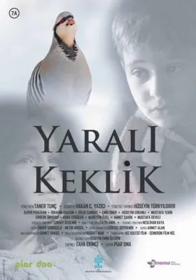Yarali Keklik (2019) Prints and Posters