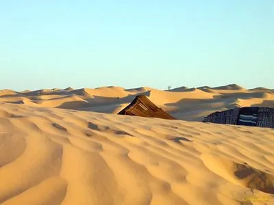 Desert Tote