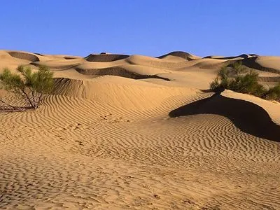 Desert Apron