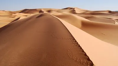 Desert 6x6