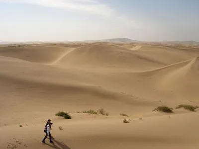 Desert Men's TShirt