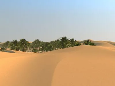 Desert 14x17