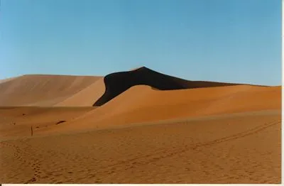 Desert 12x12