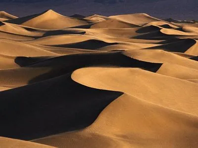 Desert Tote