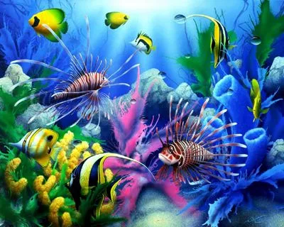 Underwater World Prints and Posters