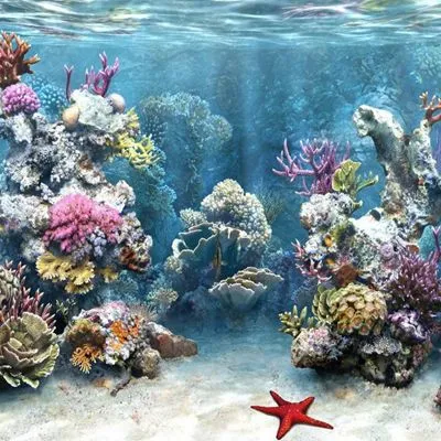 Underwater World Poster