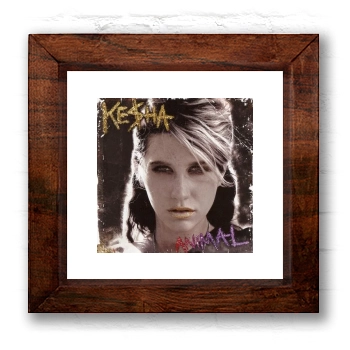 Kesha 6x6