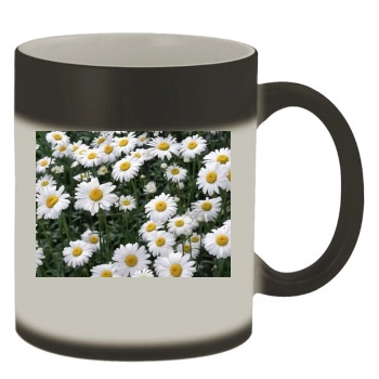 Flowers Color Changing Mug