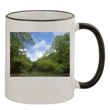 Forests 11oz Colored Rim & Handle Mug