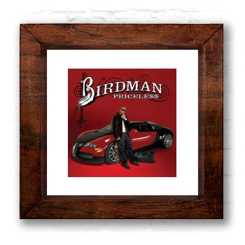 Birdman 6x6